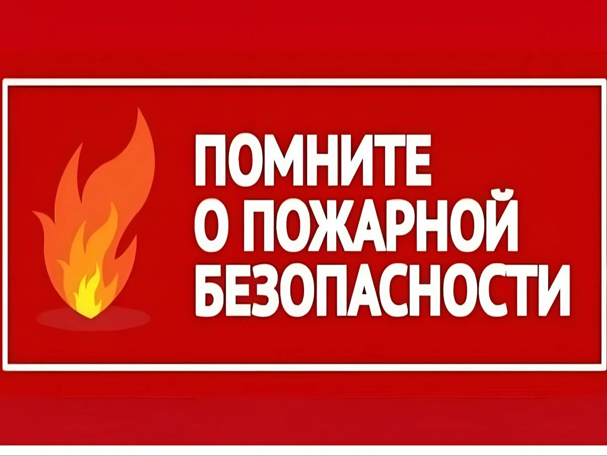 на госвеб.