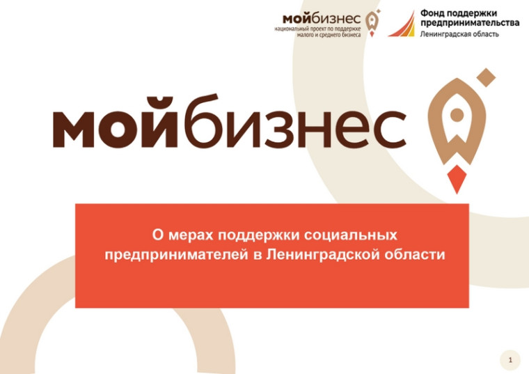 О мерах поддержки социальных предпринимателей в Ленинградской области.
